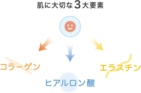肌に大切な3大要素