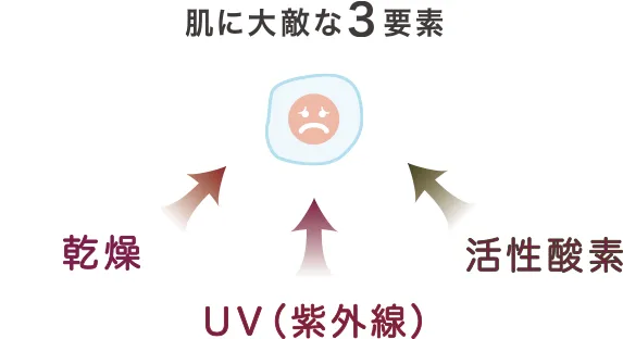 肌に大敵な3要素